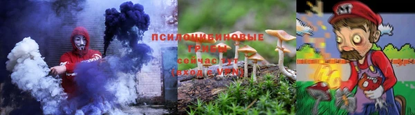 гидропоника Заводоуковск