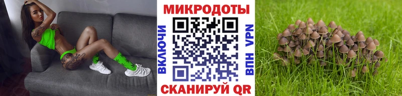 Псилоцибиновые грибы прущие грибы Грязи